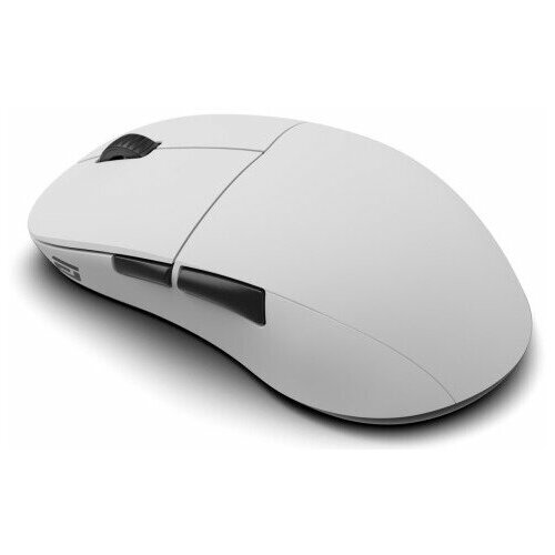 Endgame Gear XM2w 4k V2 Wireless