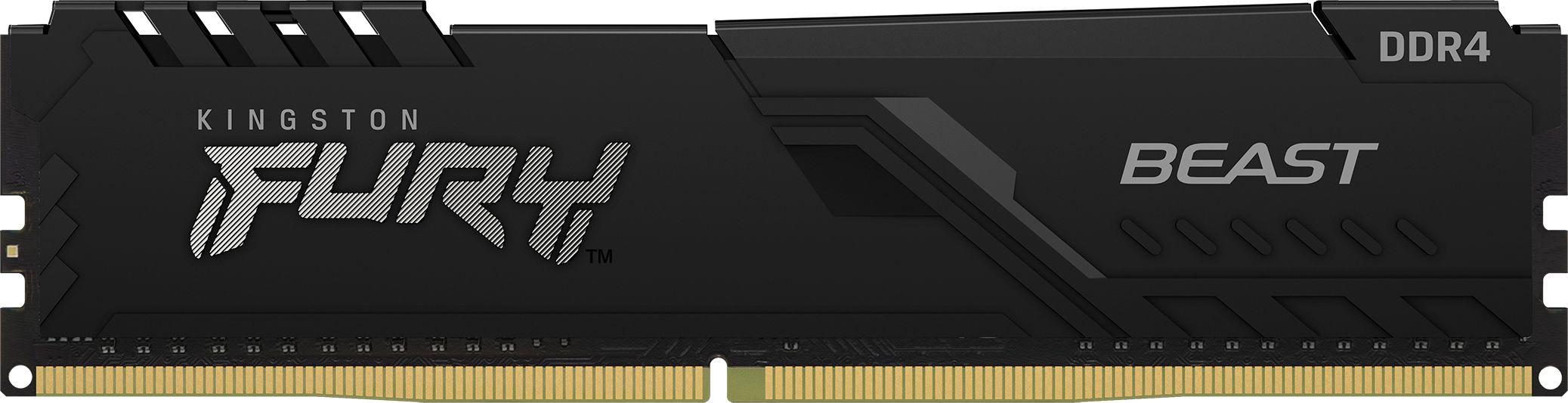 Kingston Fury Kingston Technology FURY Beast