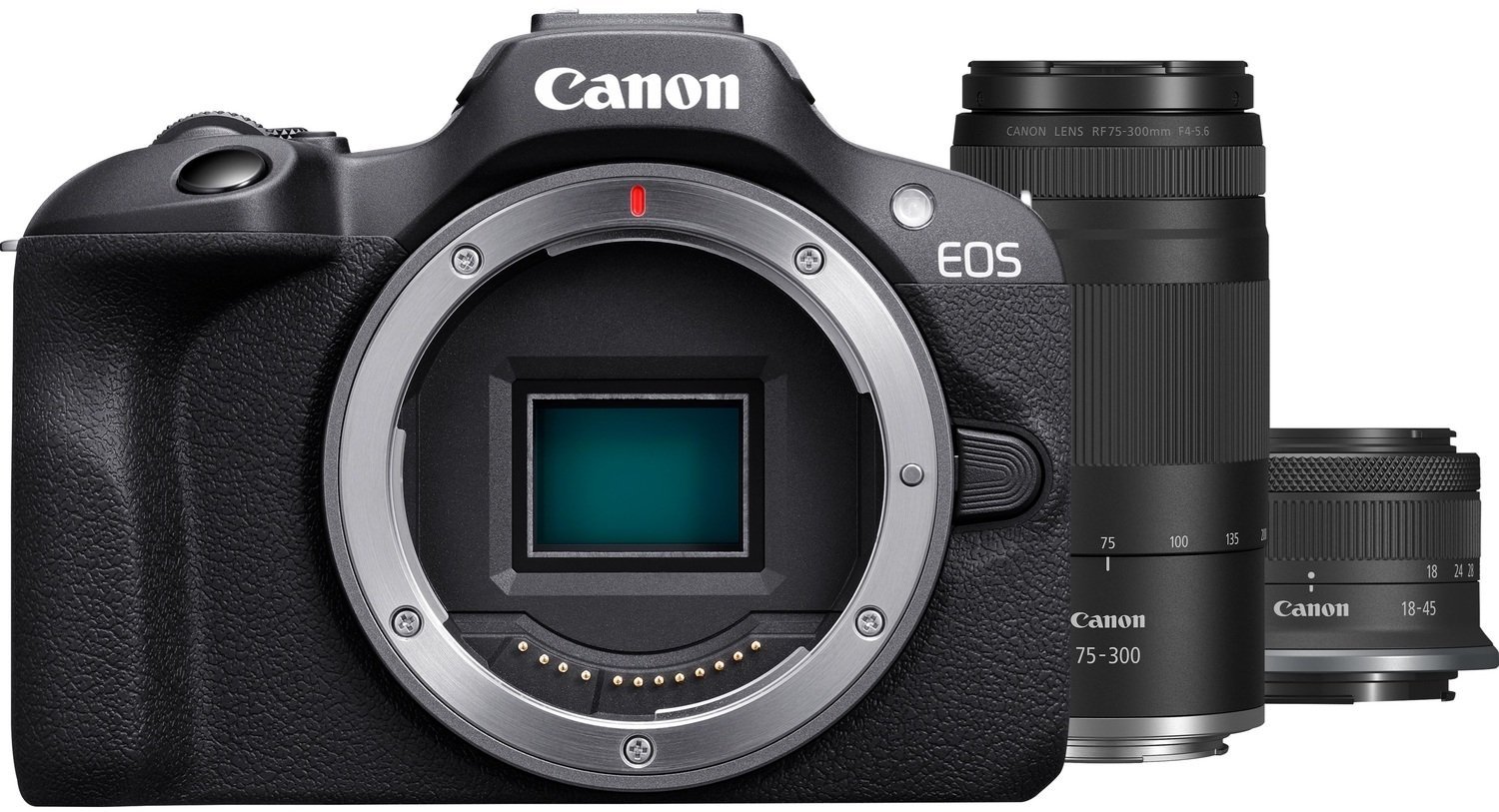 Canon EOS R100 + RF-S 18-45mm