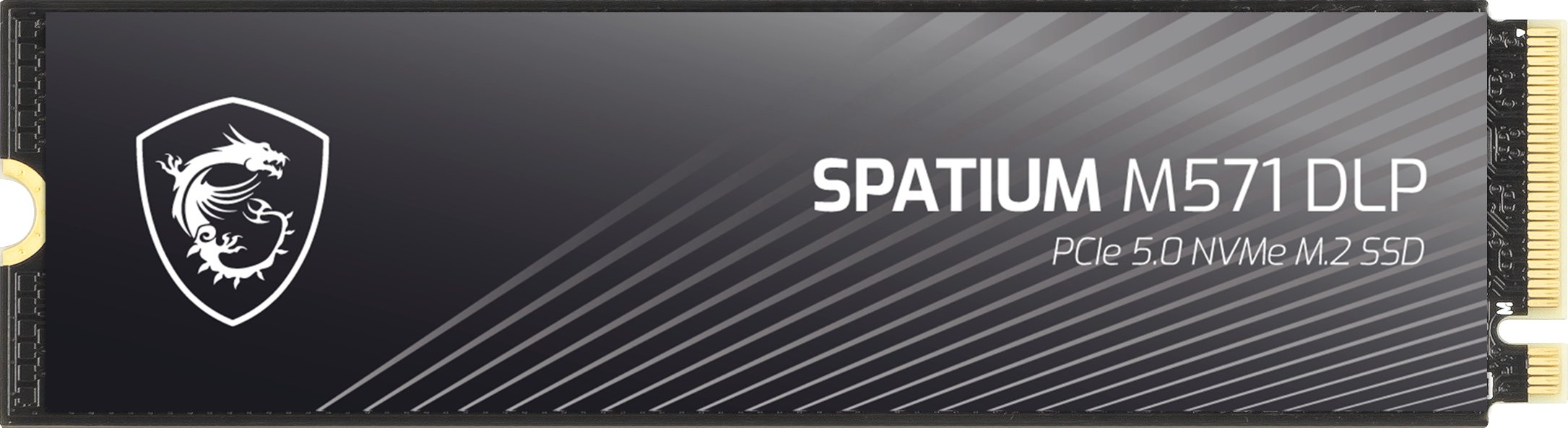 MSI SPATIUM M571 DLP 4TB M