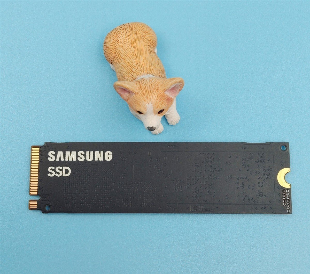 Dell PM9A1 1TB M.2 2280