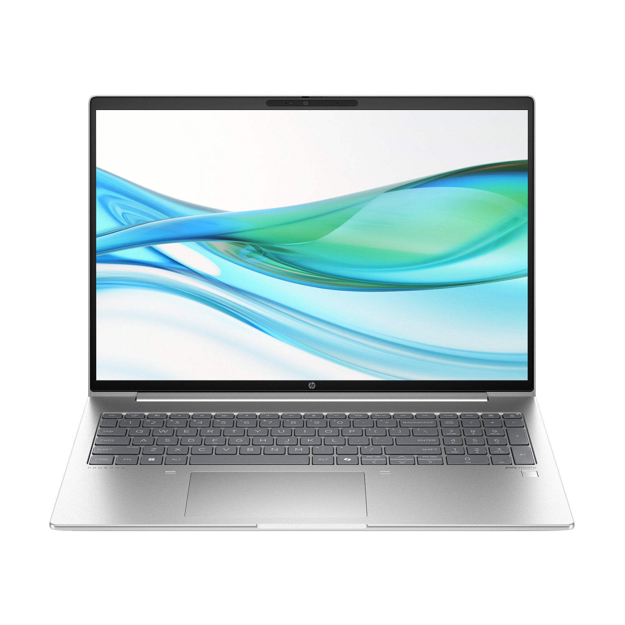 HP ProBook 460 G11 AA0V6ES -