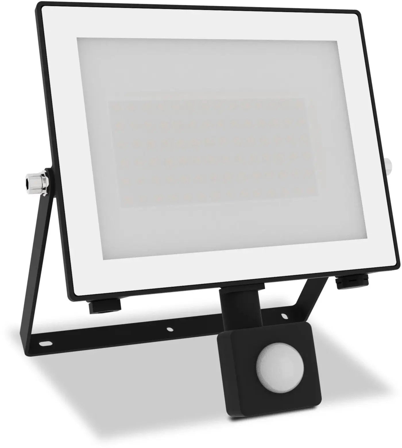 Philips Lois Naświetlacz LED 50W |