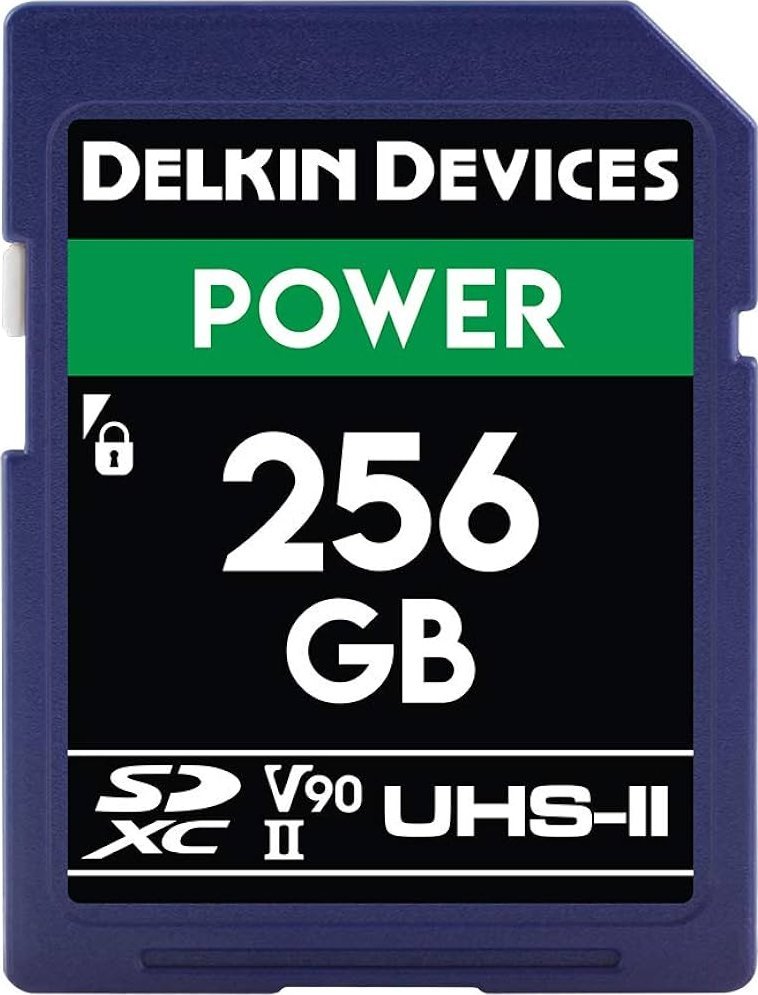 Karta Delkin Power 2000x SDXC 256