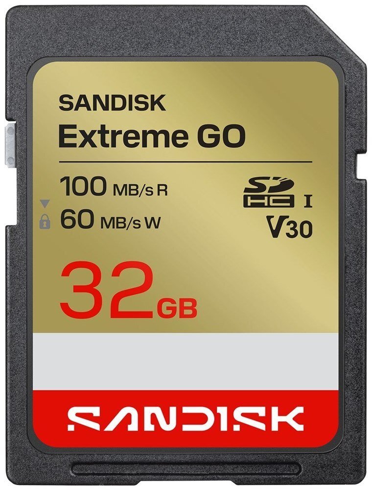 SanDisk Extreme GO SDHC 32GB SDSDXGN-032G-GNCIN