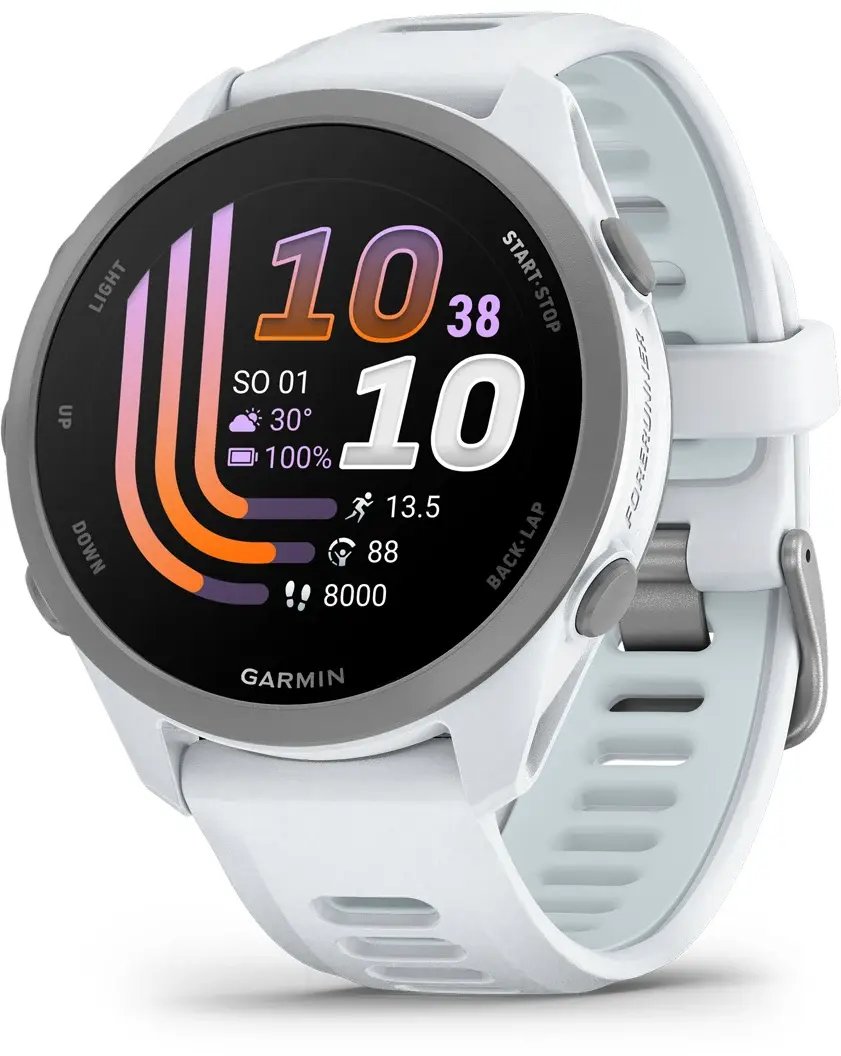 Garmin Forerunner 170 3.05 cm