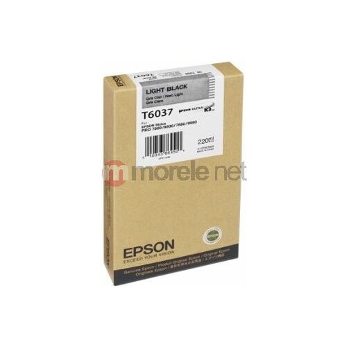 Epson C13T603700 light black HC |