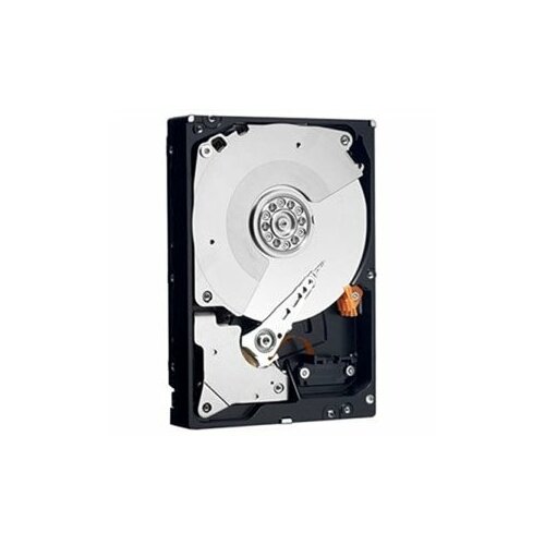 Dell HD 3T NL6 7.2K