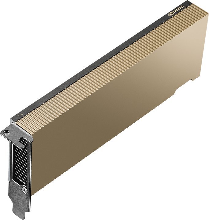 Graphics card PNY NVIDIA L4 Module