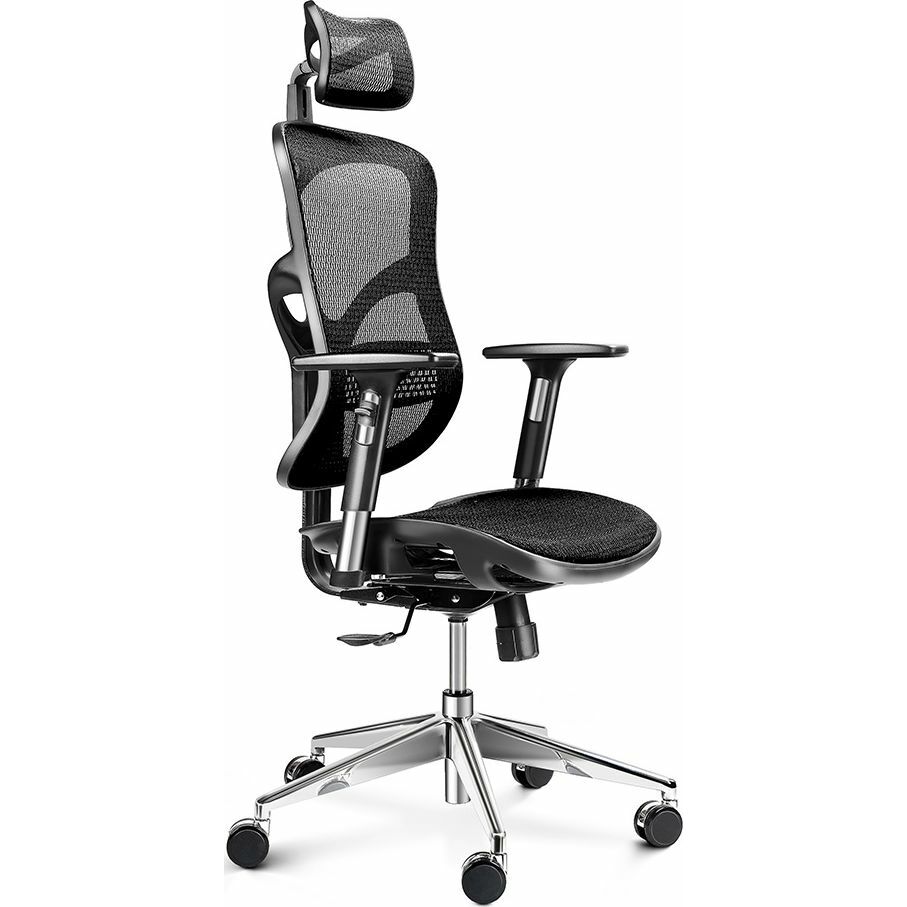 Diablo Chairs Diablo V-Basic Black |
