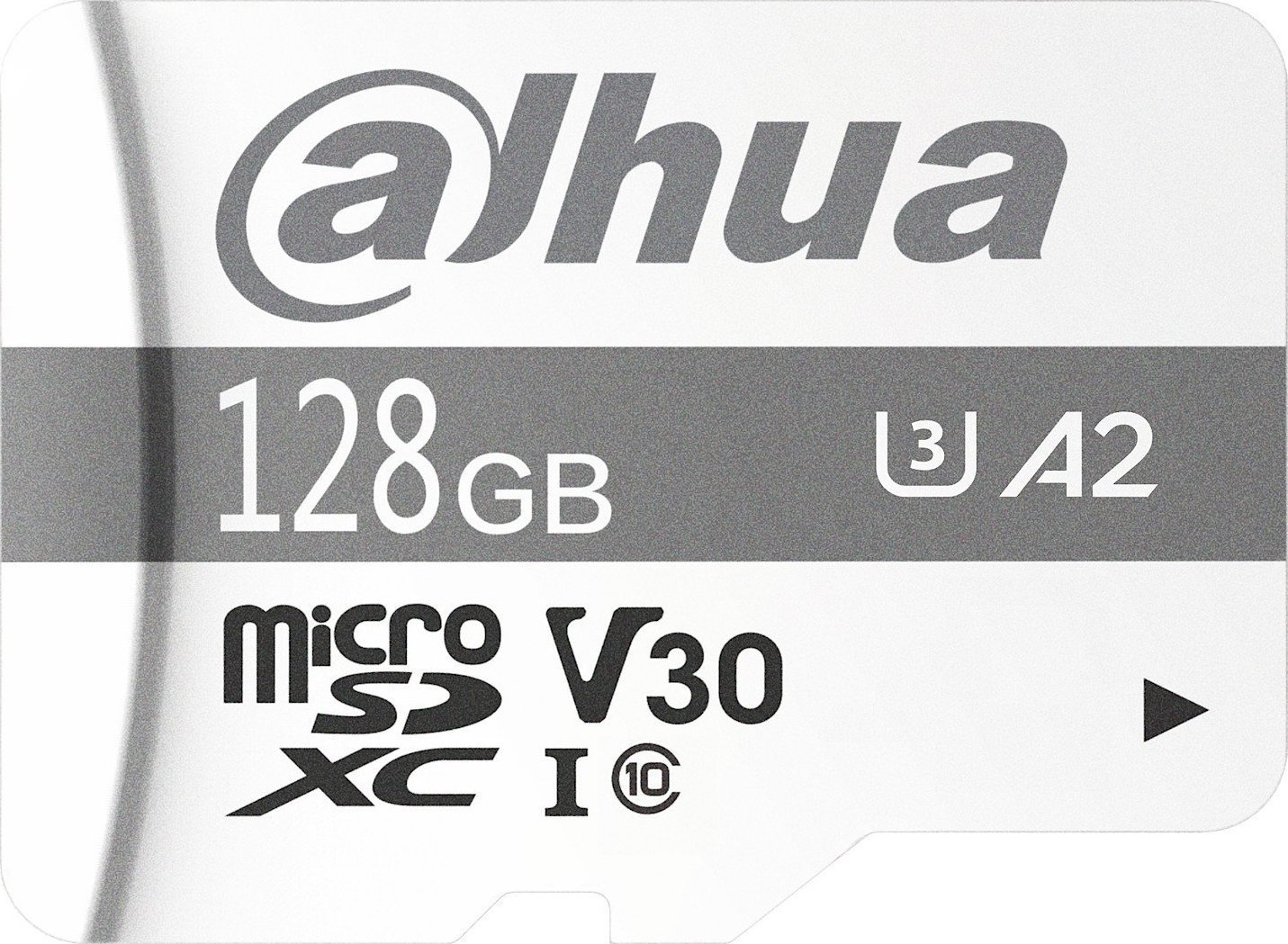 Dahua Technology Dahua TF-P100 microSDXC 128GB