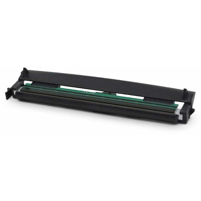 Zebra 300 dpi - Druckkopf -