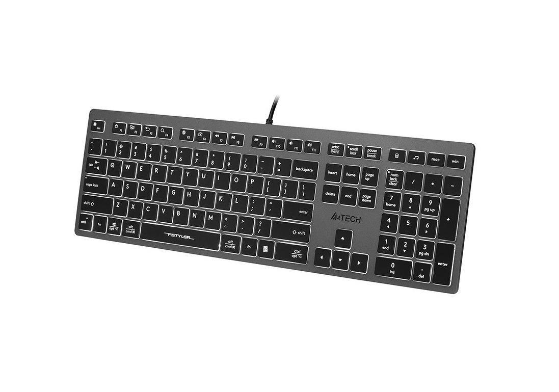A4Tech 47125 FSTYLER FX60H, GreyBlack With
