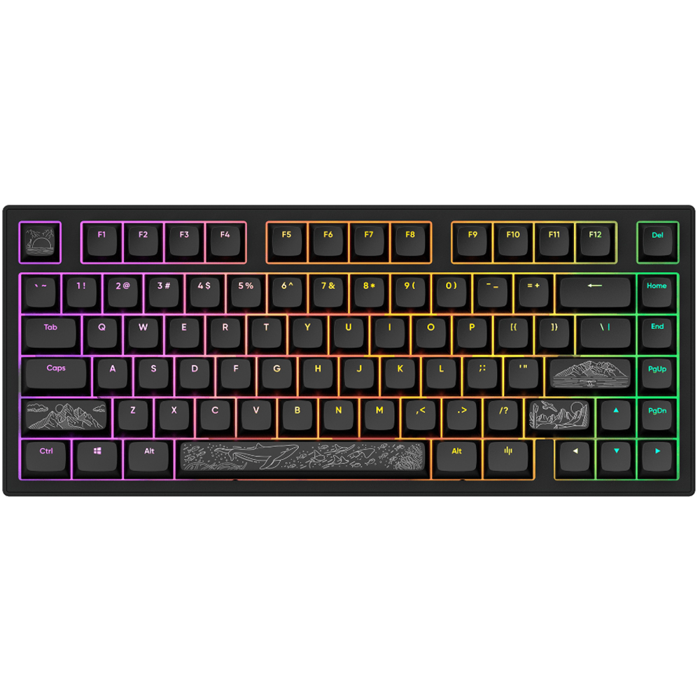 Dark Project ALU81A Terra Nostra Black