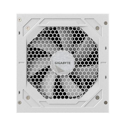 Gigabyte GP-UD1000GM PG5 V2 ICE |