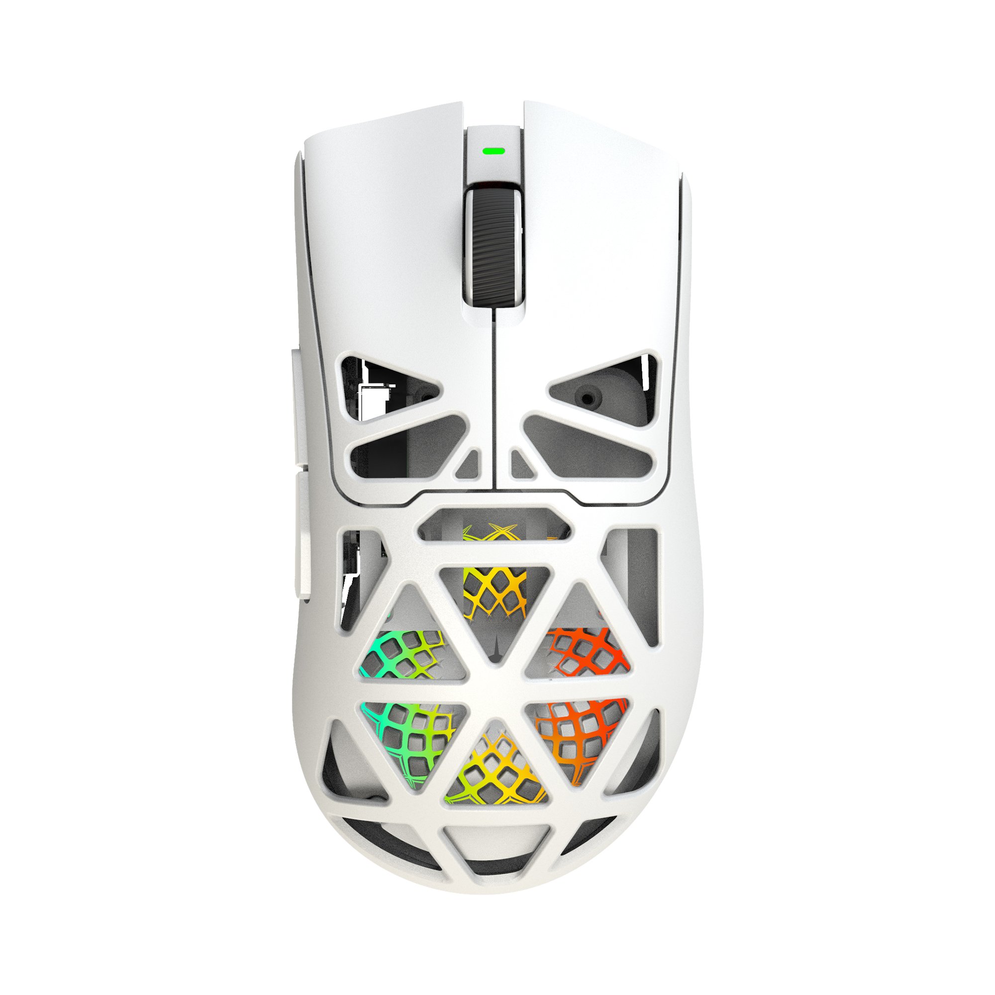 White Shark MORIEN WGM-5025  White |