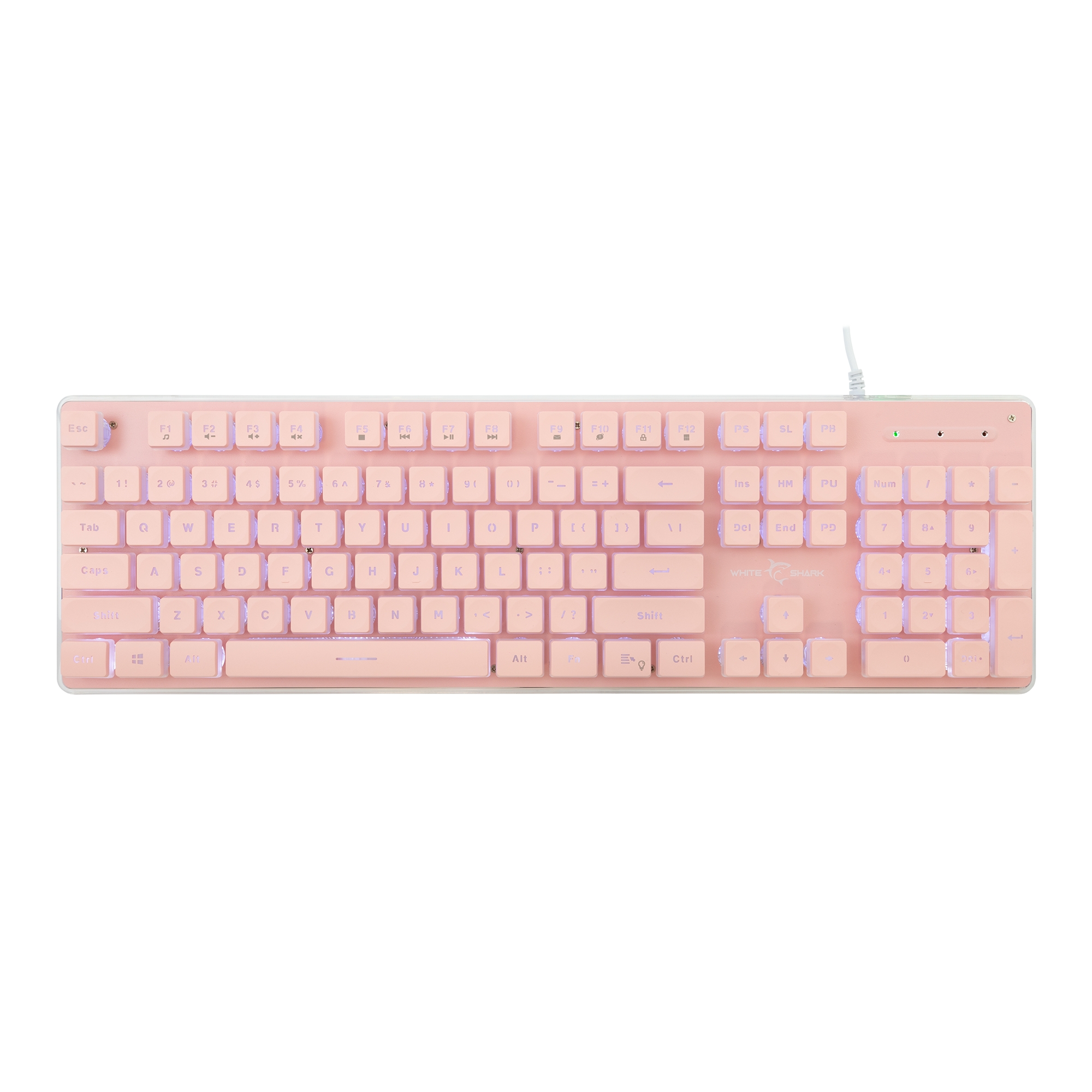 White Shark TACHI GK-003441 US, Pink
